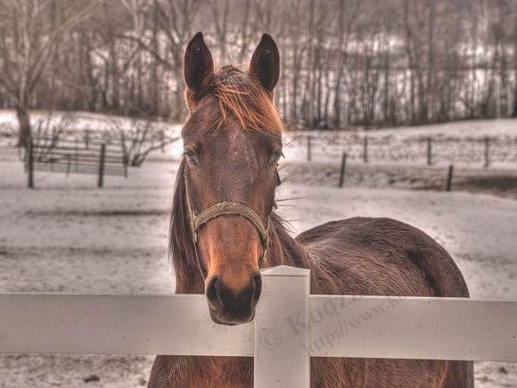DSC_5416_tonemapped_CMYK_24x18