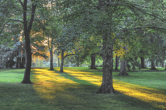 kenyonMiddlePath1-16x24