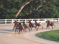 knoxCountyFairHarnessRacing_DSC_0305_CMYK_24x18