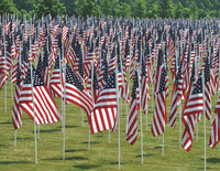 05_field of heroes