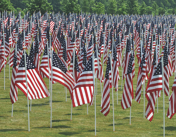 05_field of heroes