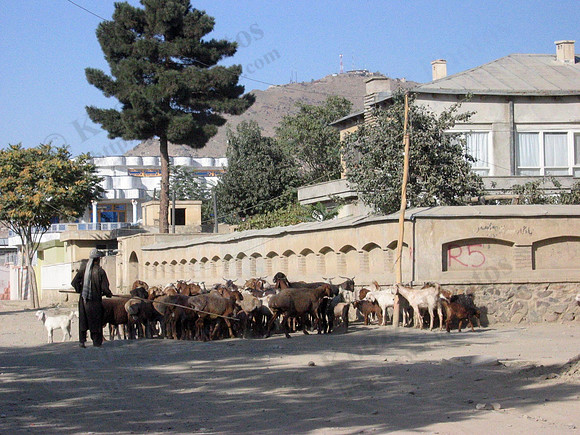 Kabul street scene