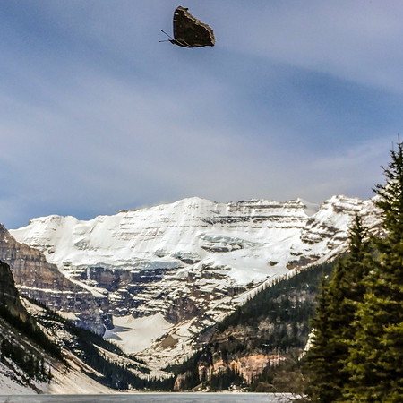 16a_PSX_20190522_223628_lakelouise