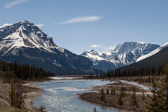 09_pana0550_icefieldparkway