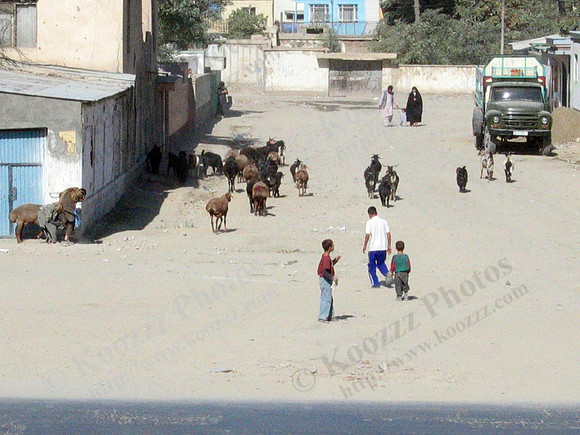 Kabul street scene