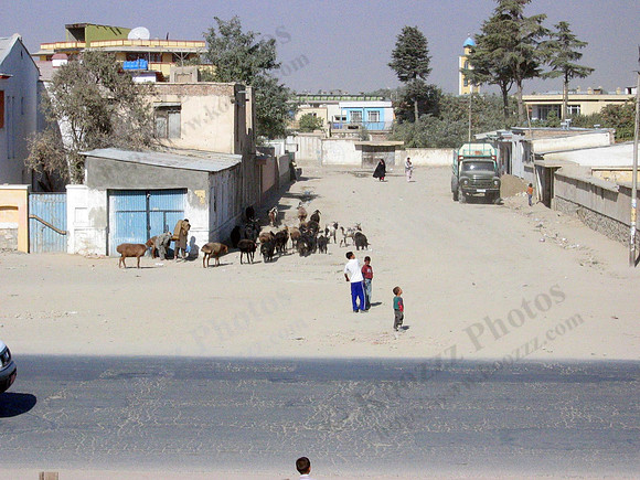 Kabul street scene