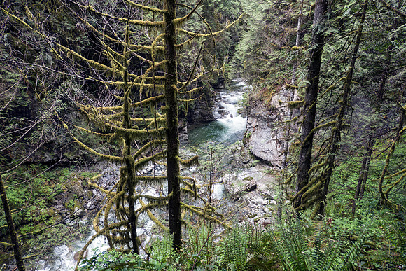 02_pana0447_lynncanyon