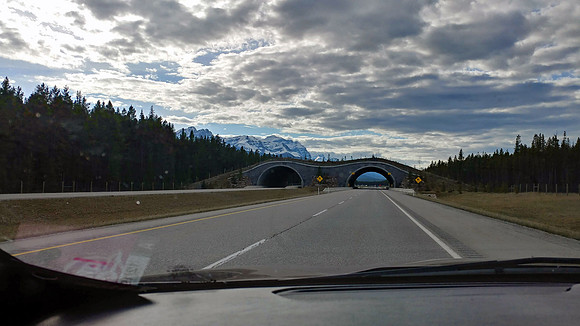 09_20190522_184750_HDR_icefieldparkway