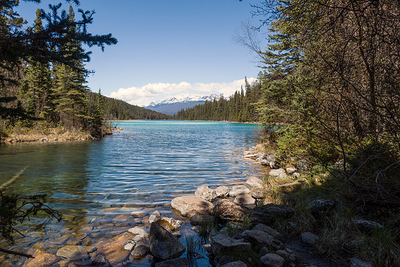07b_pana0520_valleyoffivelakes
