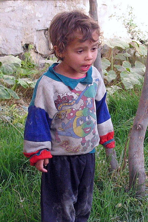 Afghan Boy