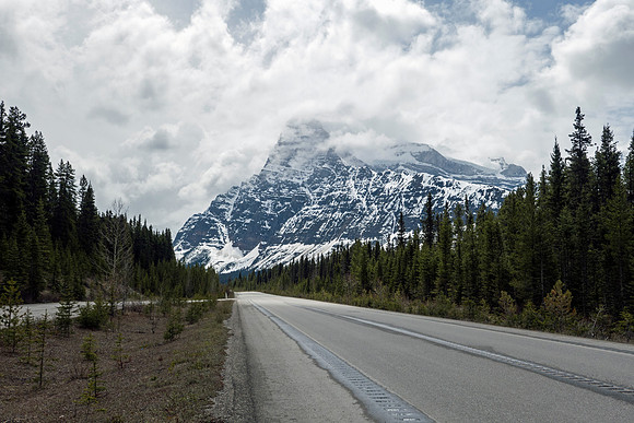 09_pana0674_icefieldparkway