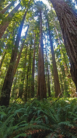 04_StoutGrove_20190820_123913_HDR