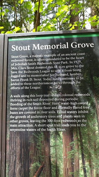 04_StoutGrove_20190820_132122