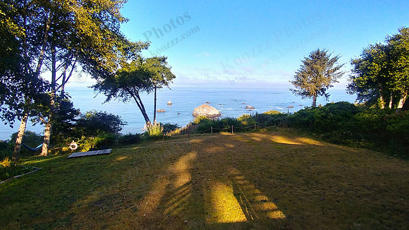 02_WhaleTail_PSX_20190820_220457