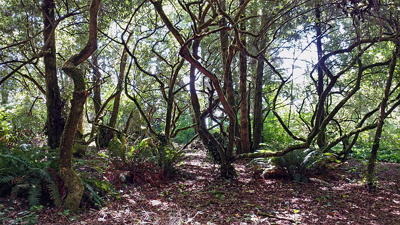 08_CollegeCoveTrail_20190822_143356_HDR
