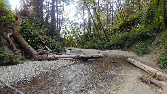 05_FernCanyon_20190820_173629