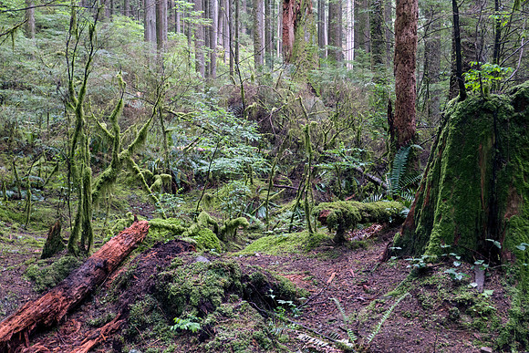 02_pana0454_lynncanyon