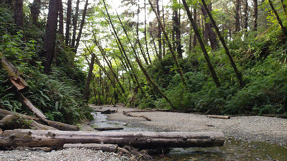 05_FernCanyon_PSX_20190820_203847