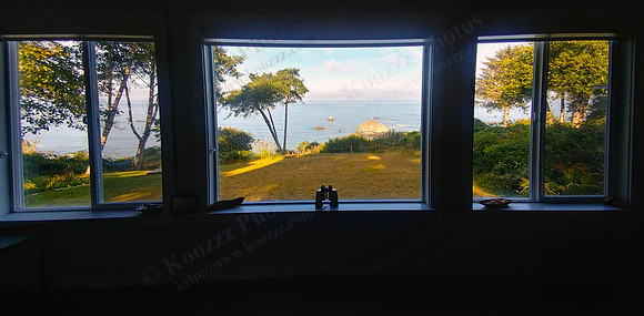 02_WhaleTail_PSX_20190819_192922 crop