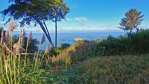 02_WhaleTail_20190819_084312_HDR edit