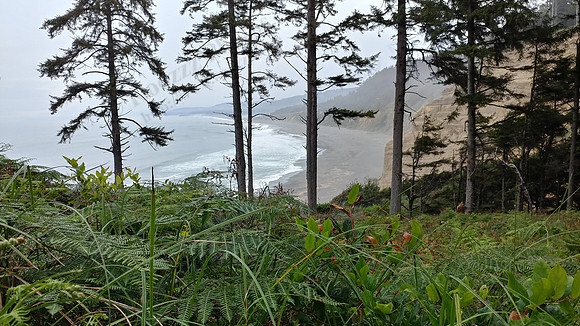 06a_PatricksPoint_20190821_131528_HDR