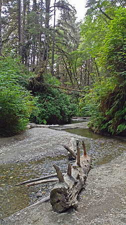05_FernCanyon_20190820_171046
