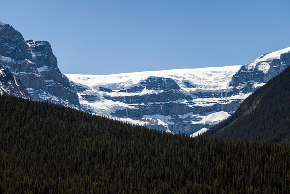 09_pana0567_icefieldparkway