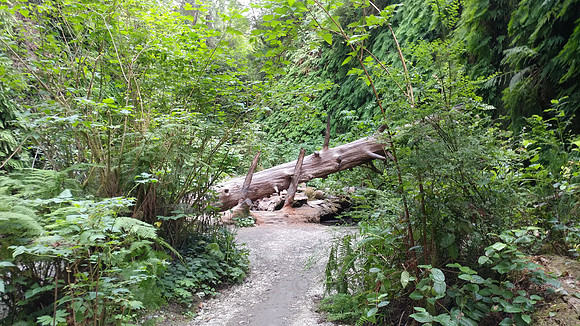 05_FernCanyon_20190820_171457