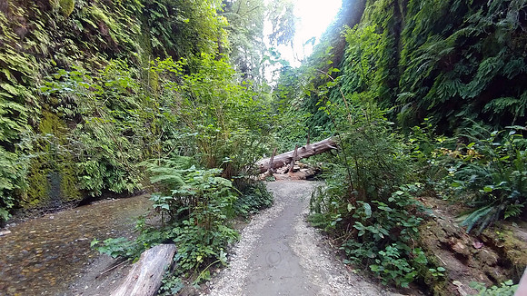 05_FernCanyon_20190820_171508