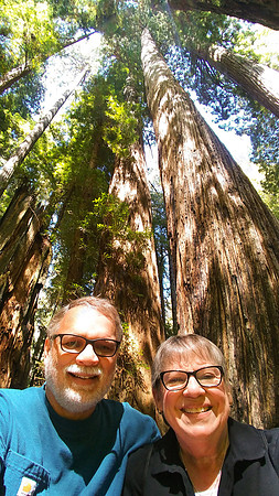 07_PrarieCreek_BigTreeCircleTrail_PSX_20190822_165807