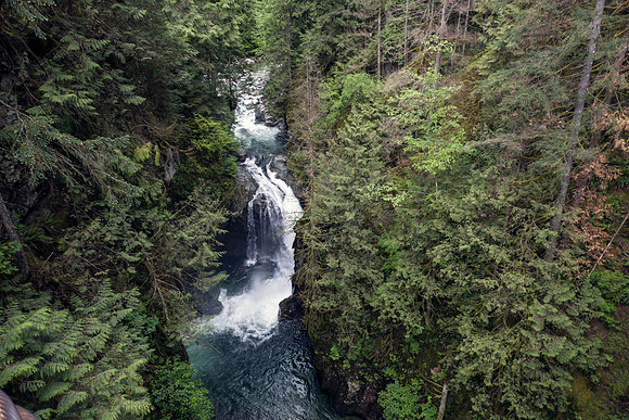 02_pana0435_lynncanyon