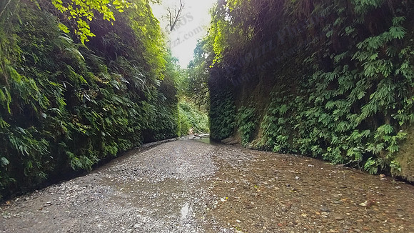 05_FernCanyon_20190820_171223