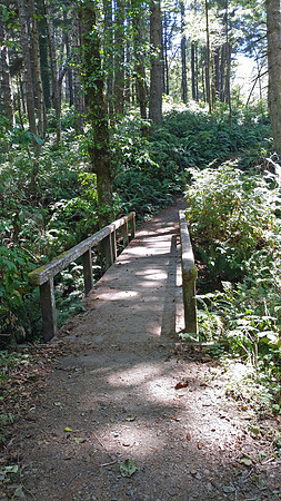 08_CollegeCoveTrail_20190822_135446