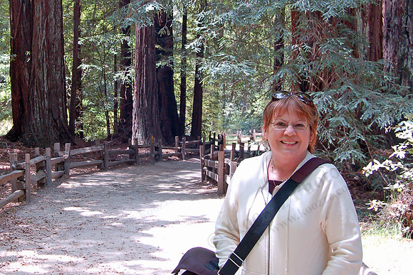 <a href="http://www.parks.ca.gov/?page_id=540" target="_blank">Big Basin Redwood</a> Trail