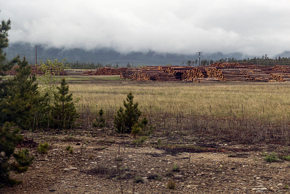 04_pana0495_fromtraint_valemount
