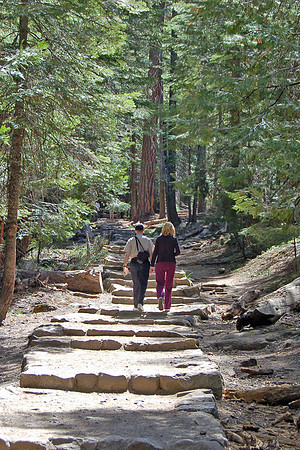 Couple walking in Mariposa Grove, Yosemite Natl Park
