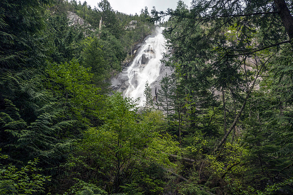03b_pana0460_shannonfalls