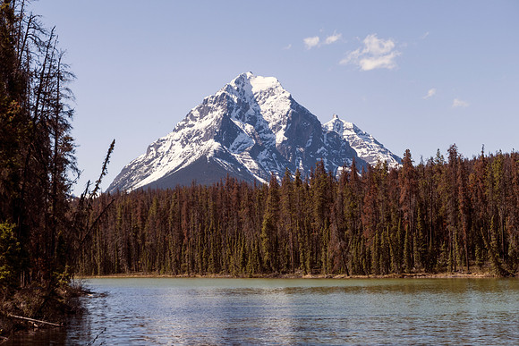 09_pana0541_icefieldparkway