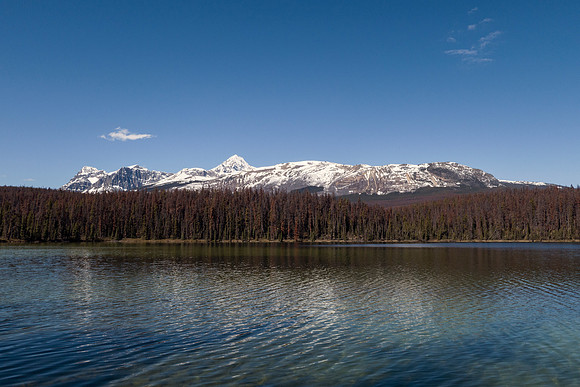 09_pana0539_icefieldparkway
