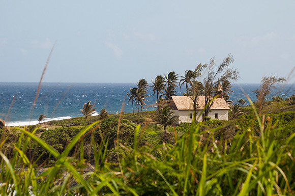 DSC_4162