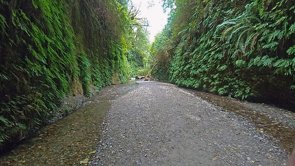 05_FernCanyon_PSX_20190820_203547