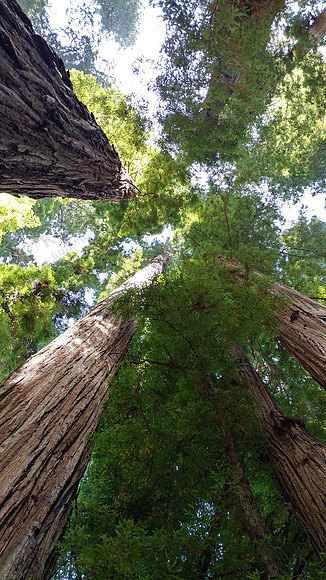 04_StoutGrove_20190820_125112_HDR