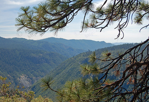 Yosemite Natl Park