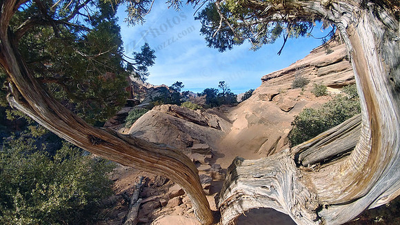 02c_canyonoverlook6_20191114_102451_HDR