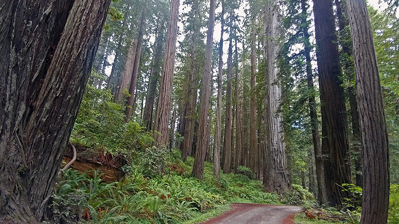 07_PrairieCreek_20190822_113628