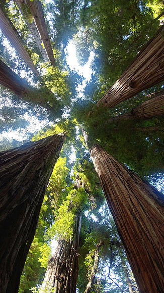 04_StoutGrove_20190820_125118_HDR