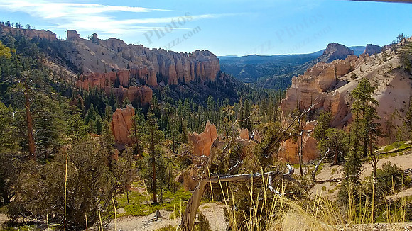 01_swampcanyon_20191113_100204_HDR