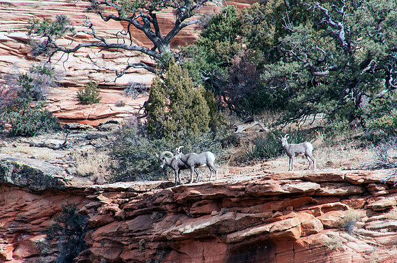 02e_checkerboardmesa2_DSC_6407