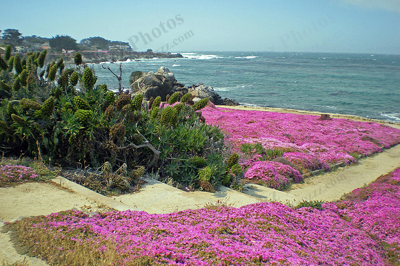 Monterey Bay