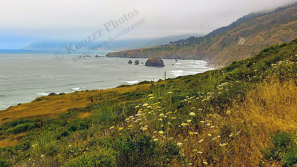 01d_Hwy1_Mendocino_Westport_PSX_20190825_214529 edit